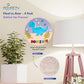 Dino nameplate DIY Kit