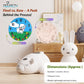 Sheep Wall clock DIY Kit